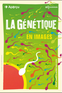 La génétique en images